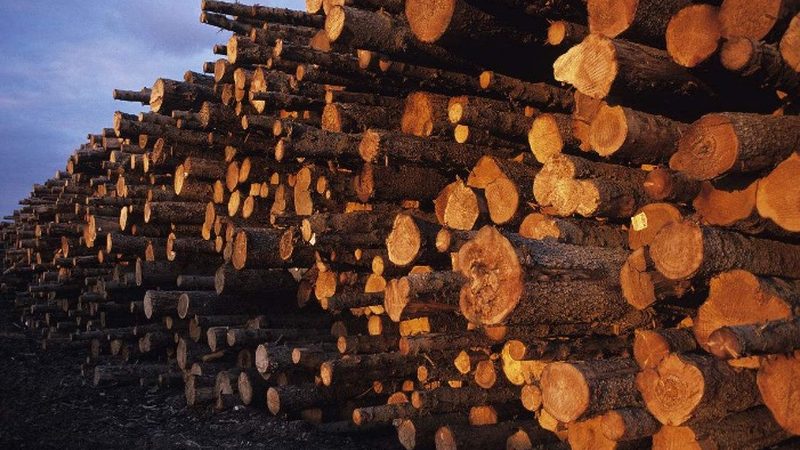 实木地板报价单与零售价：揭秘其中的区别与考量